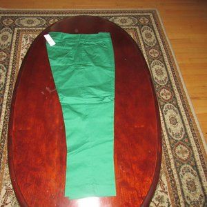 New York & Company Green Pant
